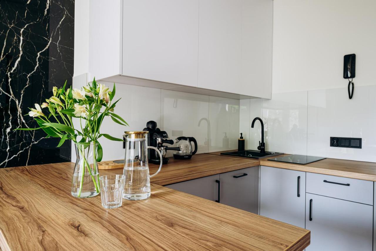 Native Apartments Helclow 23 Krakow Ngoại thất bức ảnh